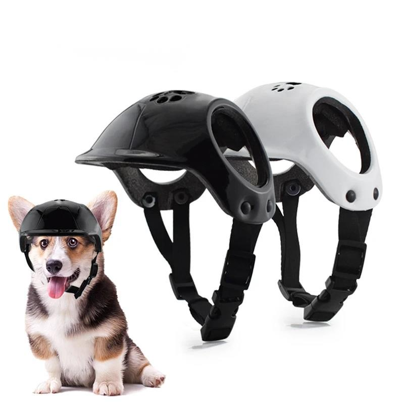 Helm Motor Hewan Peliharaan Wa - Outdoor Sport Using A Bike ulasan dan harga